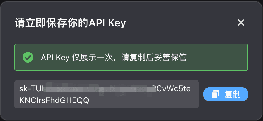API Key 创建完成